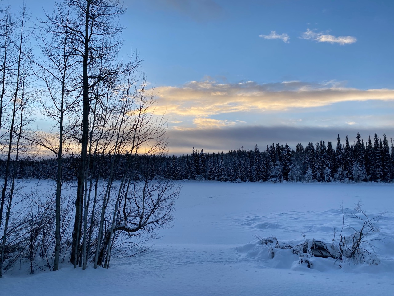 Ciel bleu au dessus d'un lac enneigé, bordé de forêt.