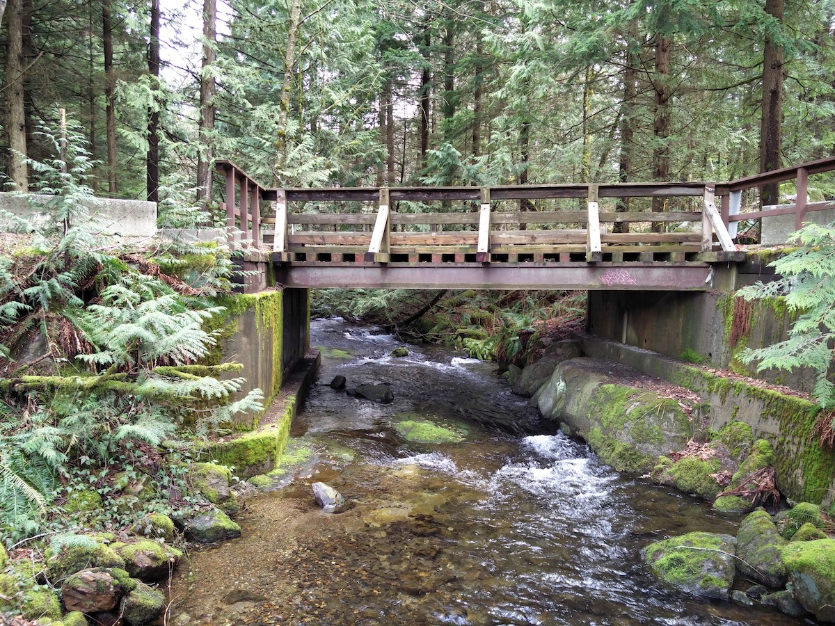 Pont de bois passant par dessus le cours d'eau qui quitte le lac.