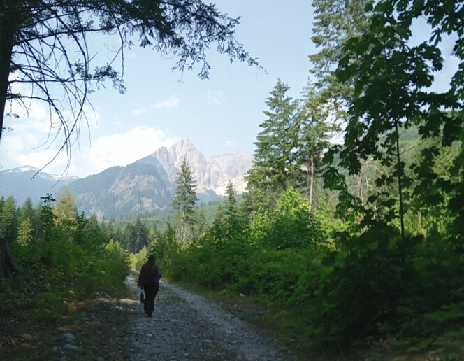 Chemin forrestier avec montagnes en vue