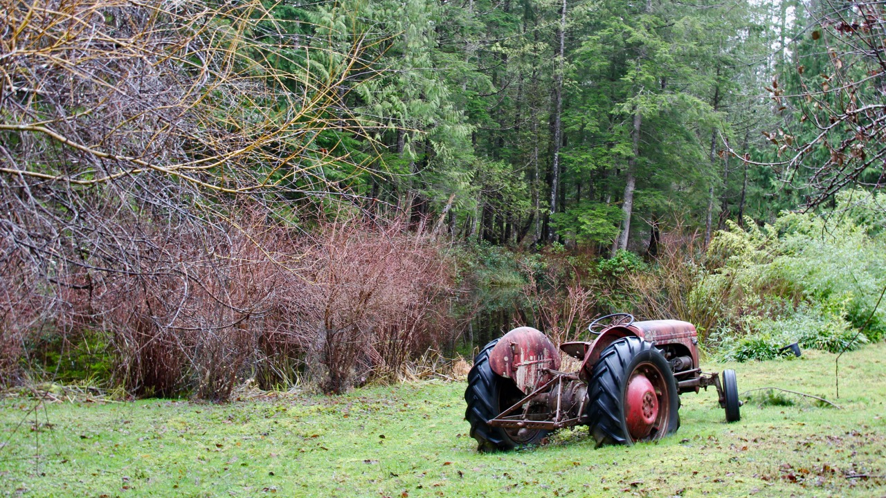 Vieux tacteur rouge dans le jardin de nos hôtes, devant un bois et un lac.