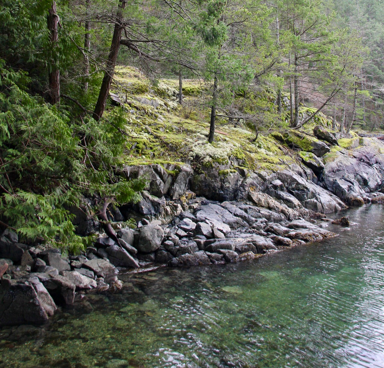 Clear water along rocky shore.