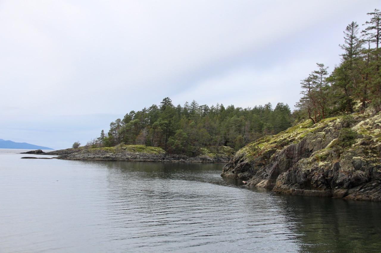 Rocky shore seen from the top of a hill.