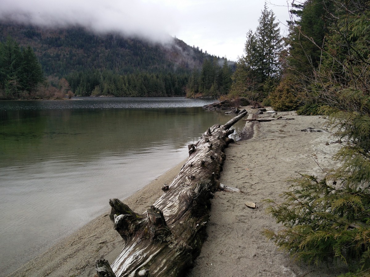 Place au bord du lac où un vieux tronc sert de banc le long de l'eau.