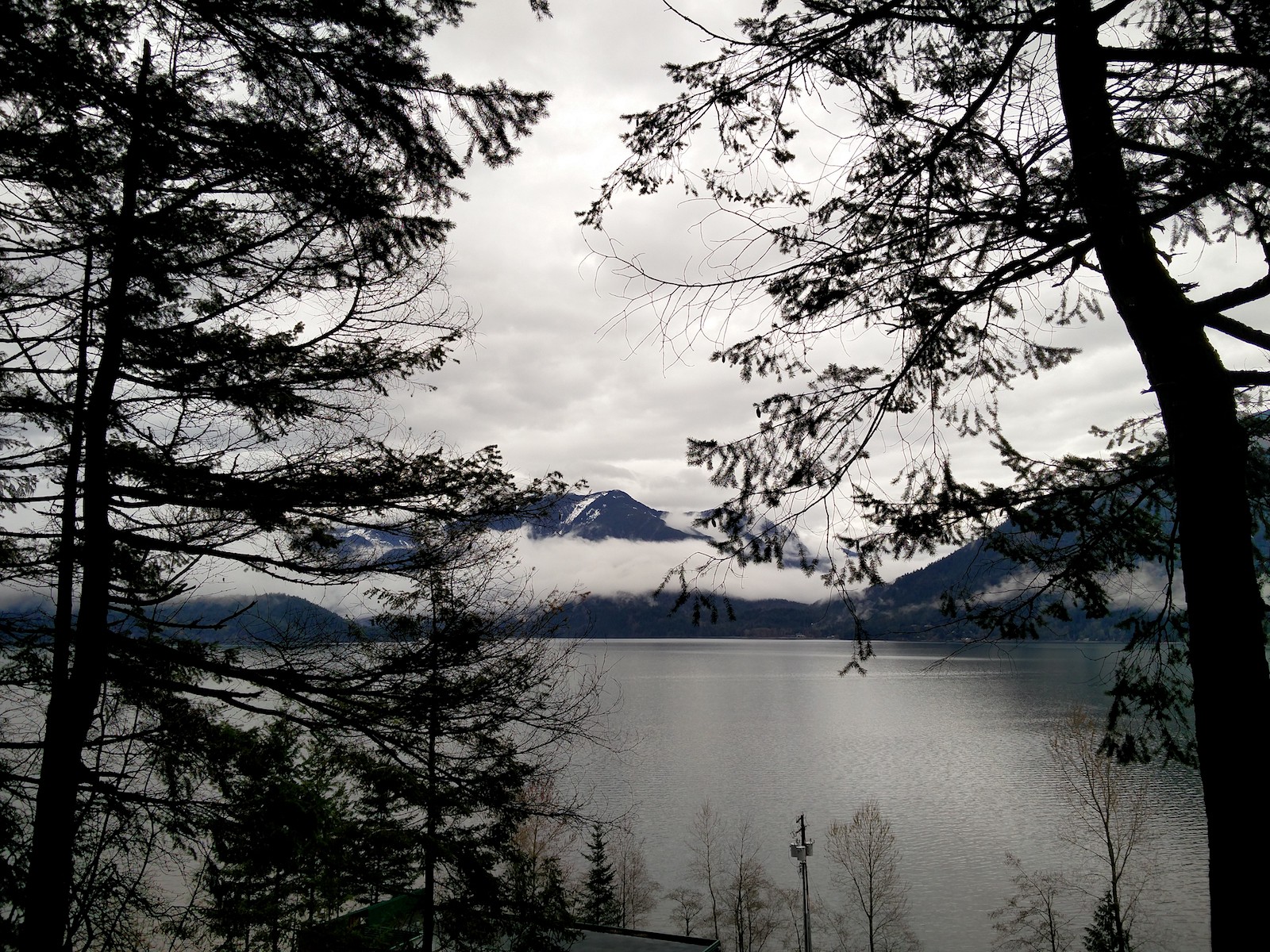 Des arbres sombres au premier plan contrastent fortement avec le ciel et les montagnes blanches au dessus du lac..