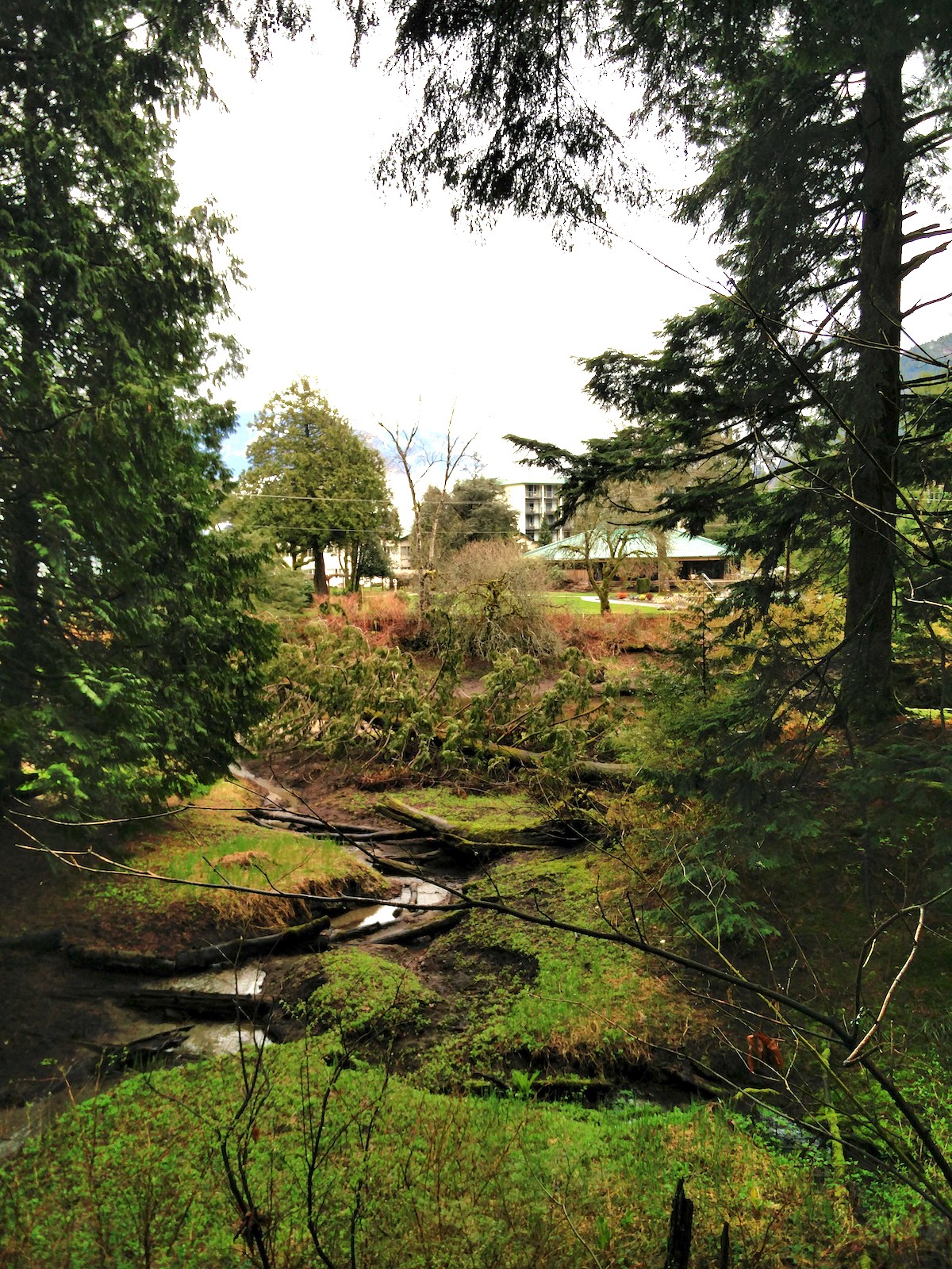 Un petit cours d'eau proche du village est bordé de mousses colorées vertes et rouges.