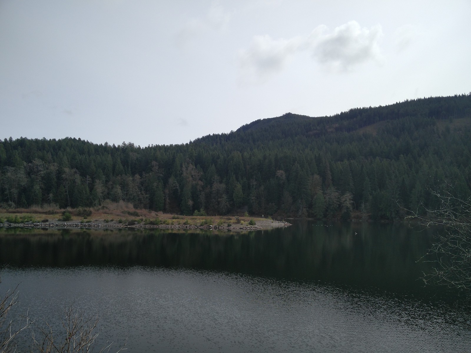 Petite ile harbacée au milieu du lac.