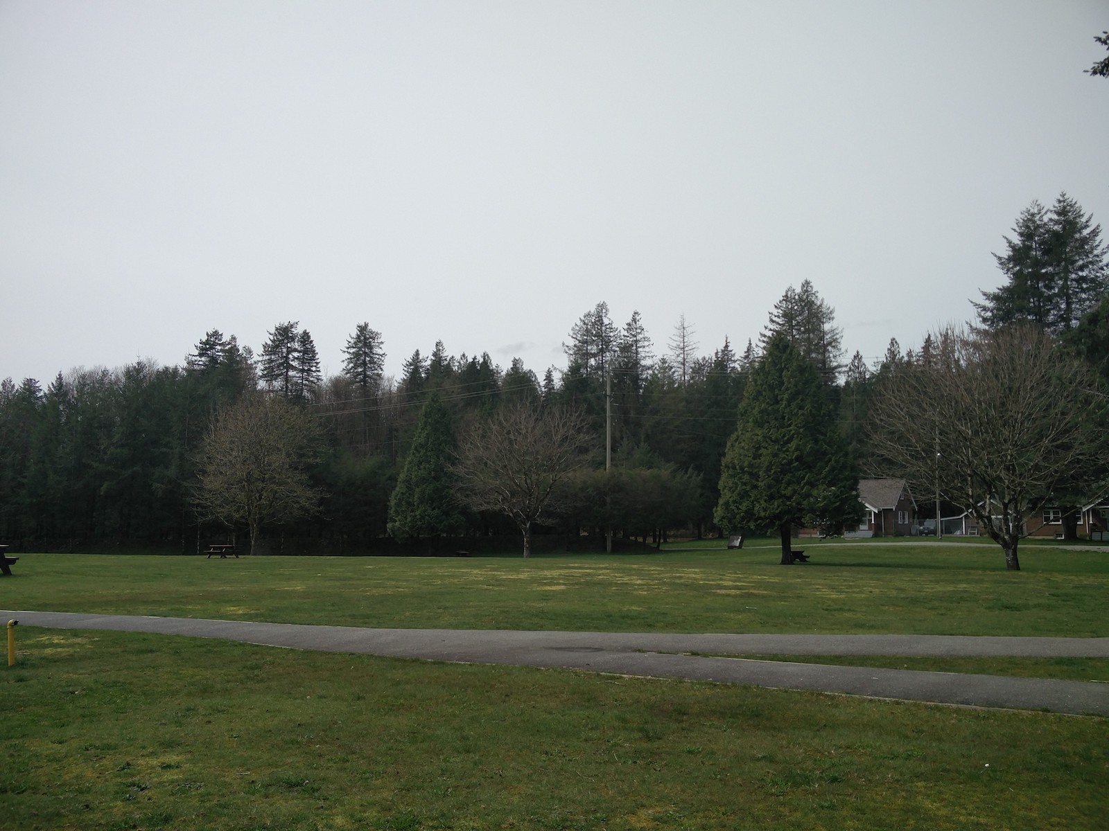 Large pelouse du parc bordant le lac.