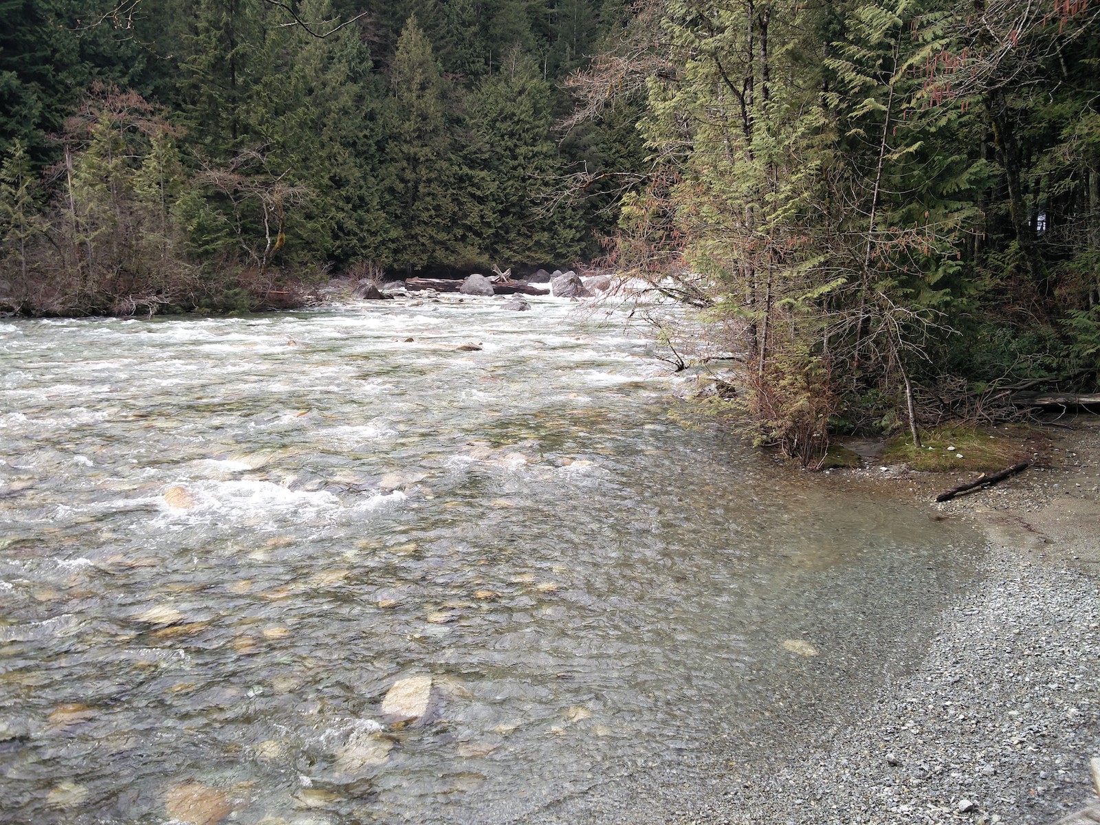 Remous dans la rivière visible depuis une plage plus proche de la cascade. On devine de l'eau blanche d'écume à travers quelques arbres plus haut.