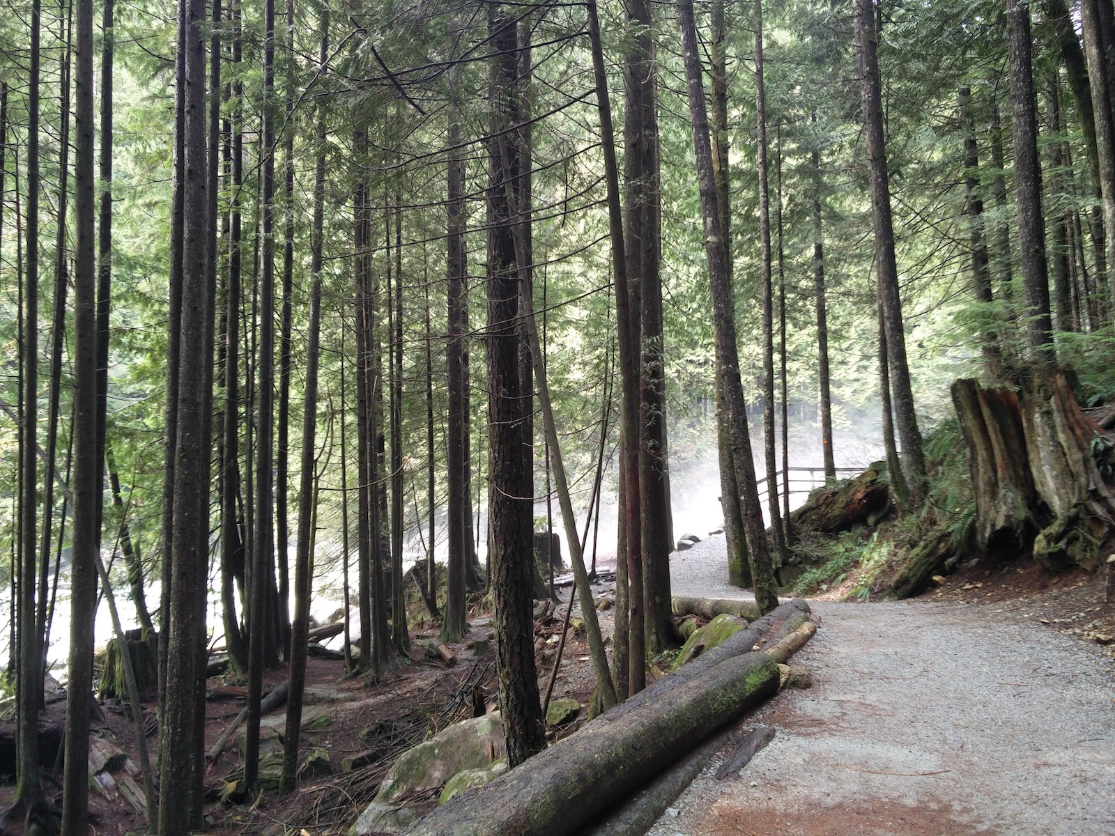 Sentier de terre battue très sec à flanc de colline, entouré de fins arbres bien droits. Au bout, une barrière cachée dans une brume indique qu'on arrive à la cascade.