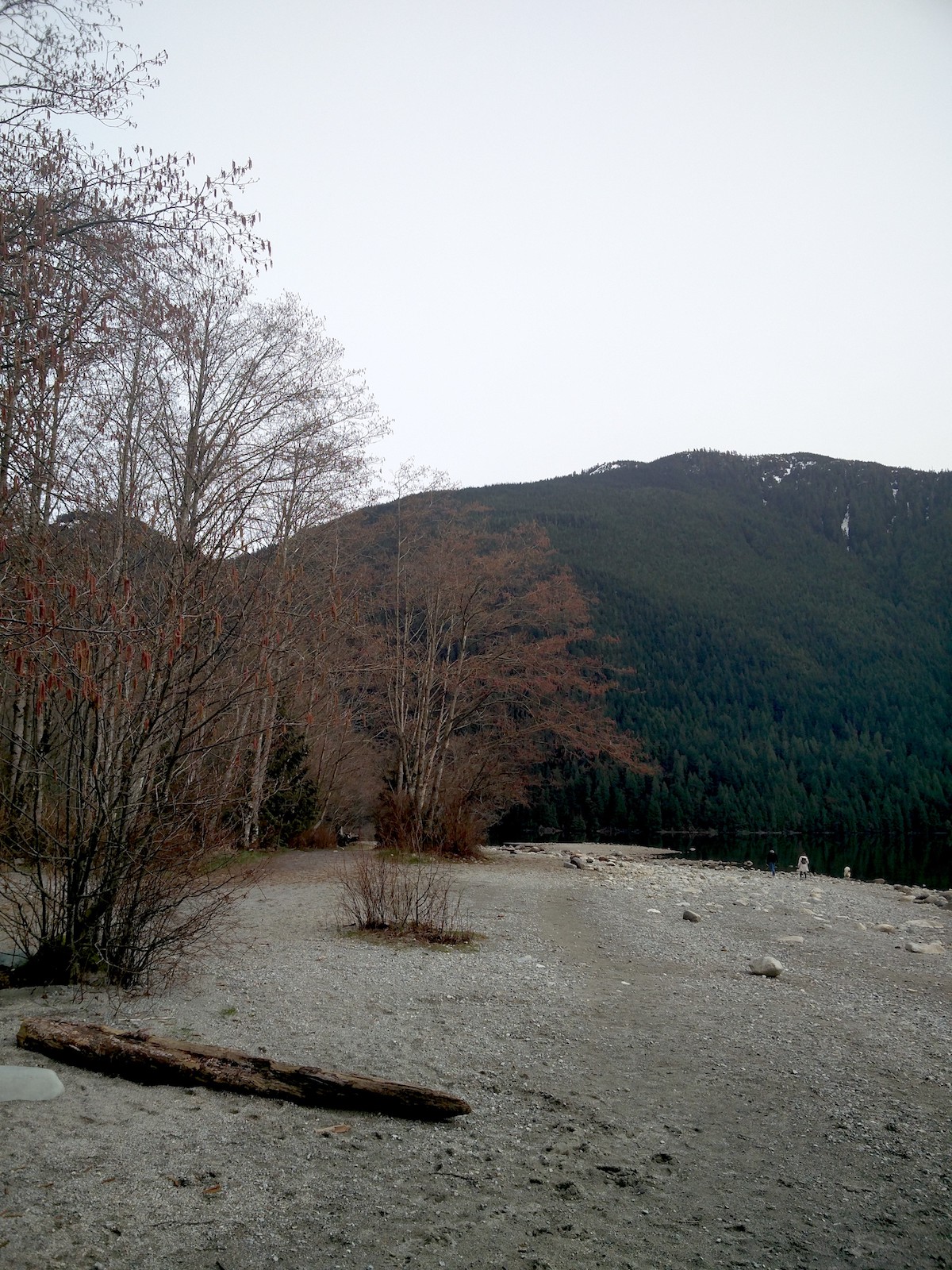 Vue sur la plage de sable fin au bord du lac. des arbres rouges contrastent avec les montagnes vert foncé dans le fond