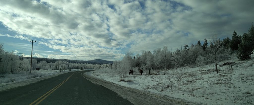 Photo de la route au bitume bien noir malgré la neige dans les bas côtés de chaque côté.