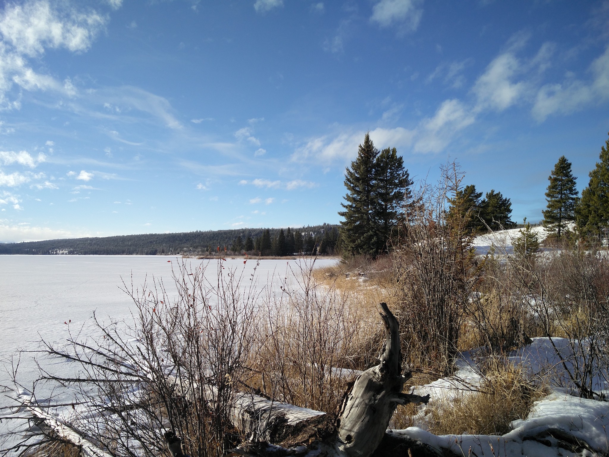 Lac recouvert de glace et de neige avec des herbes et truncs ocres le long du bord.